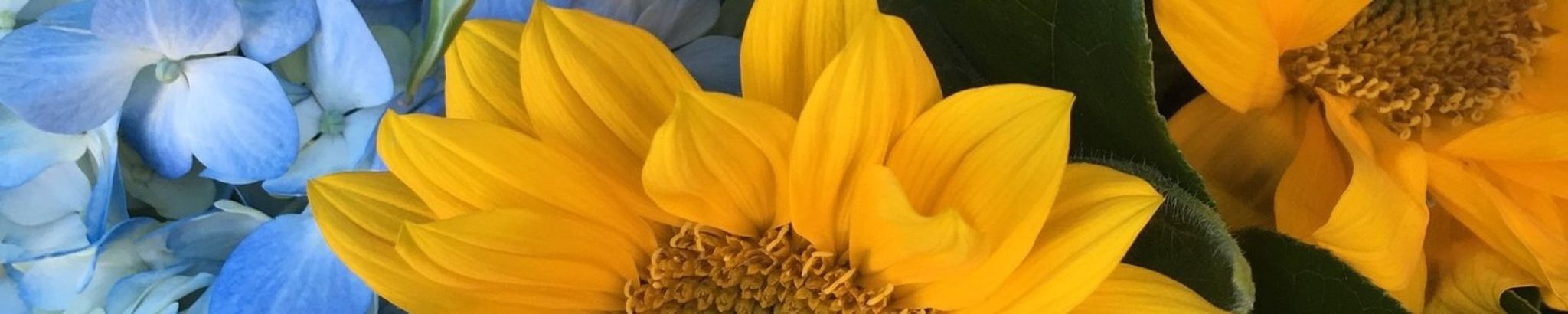 Cover photo for Madeline Spatichia's Obituary