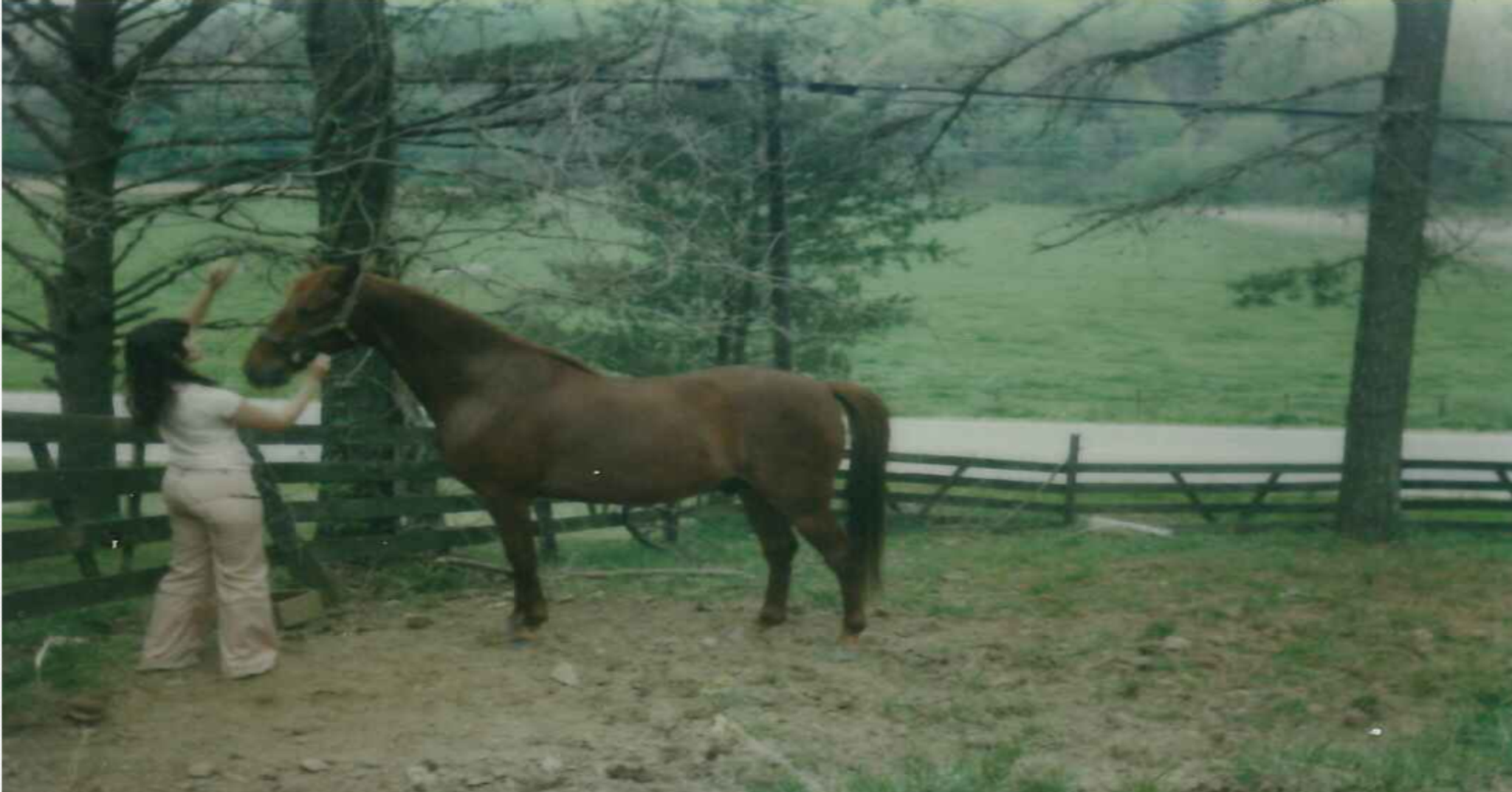 Cover photo for Trish Foster's Obituary