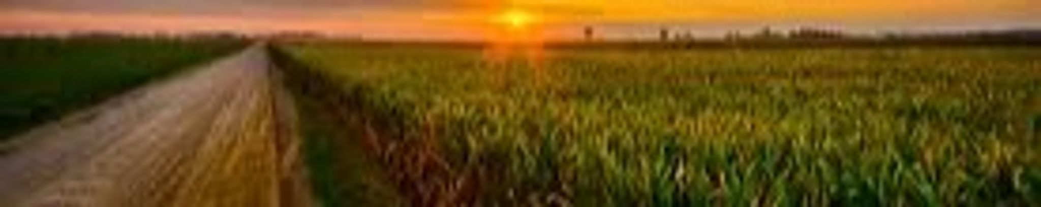 Cover photo for David Newton Jackson's Obituary