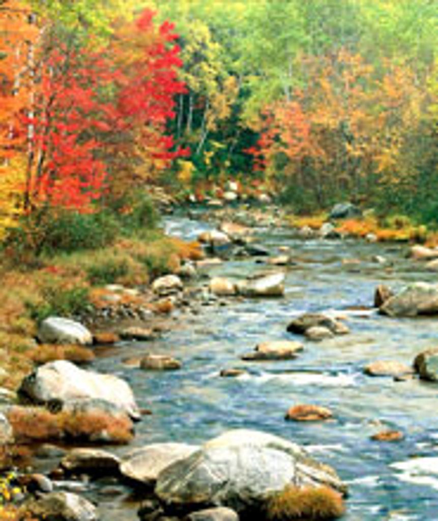 Palma Marie Cummings