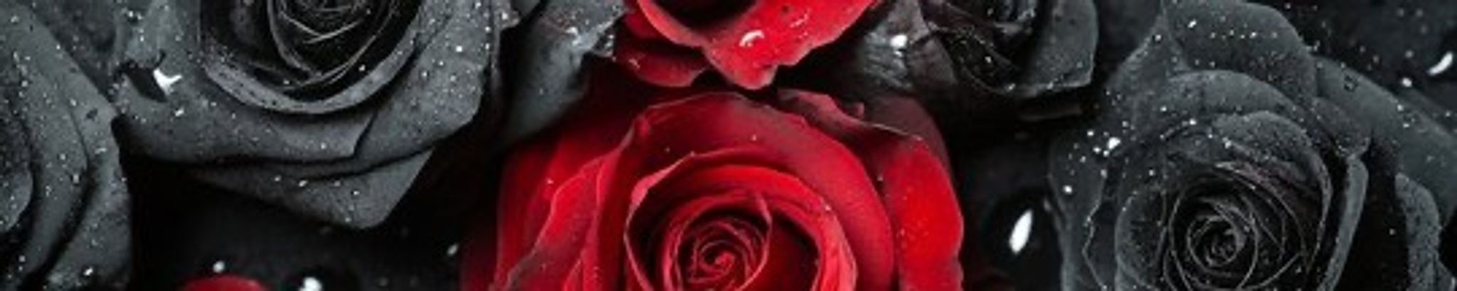 Cover for Tyneice “TyMichele” Stupart's Obituary