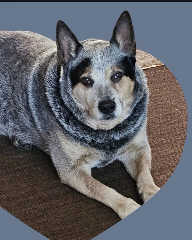 Chance Profile Photo