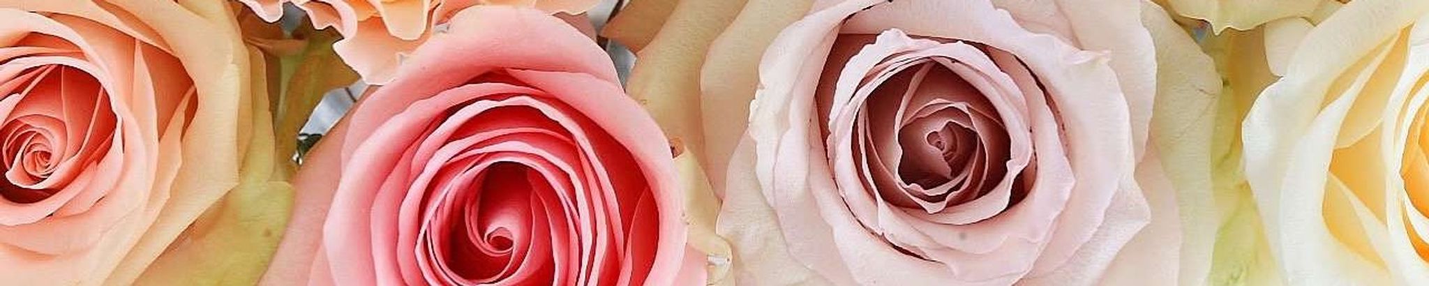 Cover photo for Sharion Loraine Griffin's Obituary