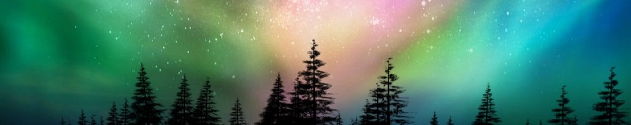 Cover for Deborah Ann Bensinger's Obituary