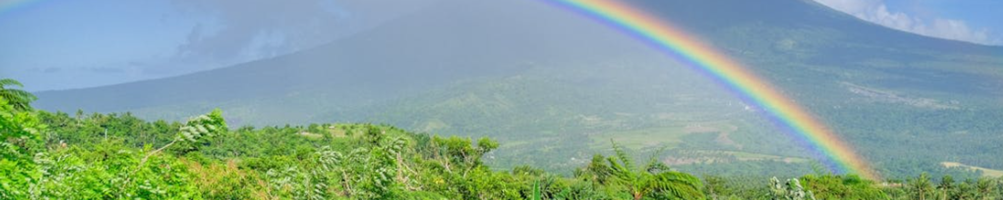 Cover for Barbara G. McClanahan's Obituary