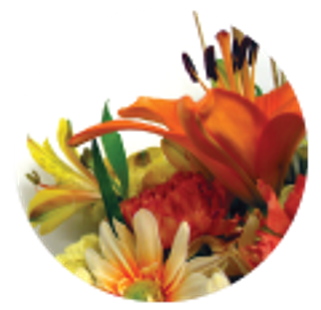 Mary E (Cole) Stromple Profile Photo