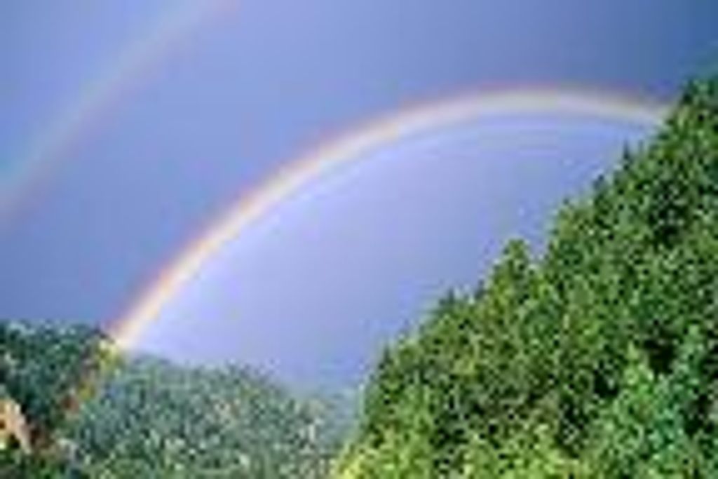 Clarice Newman Bargainnier