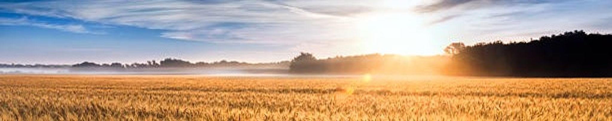 Cover photo for Delford Ralphs's Obituary