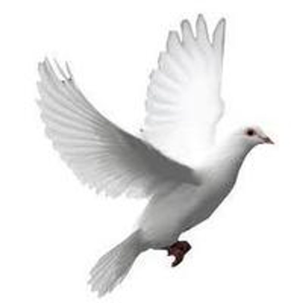 Tonya  Shawn Grandison Profile Photo