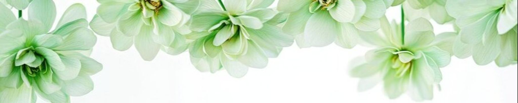 Cover photo for Edith Marie Bailey's Obituary