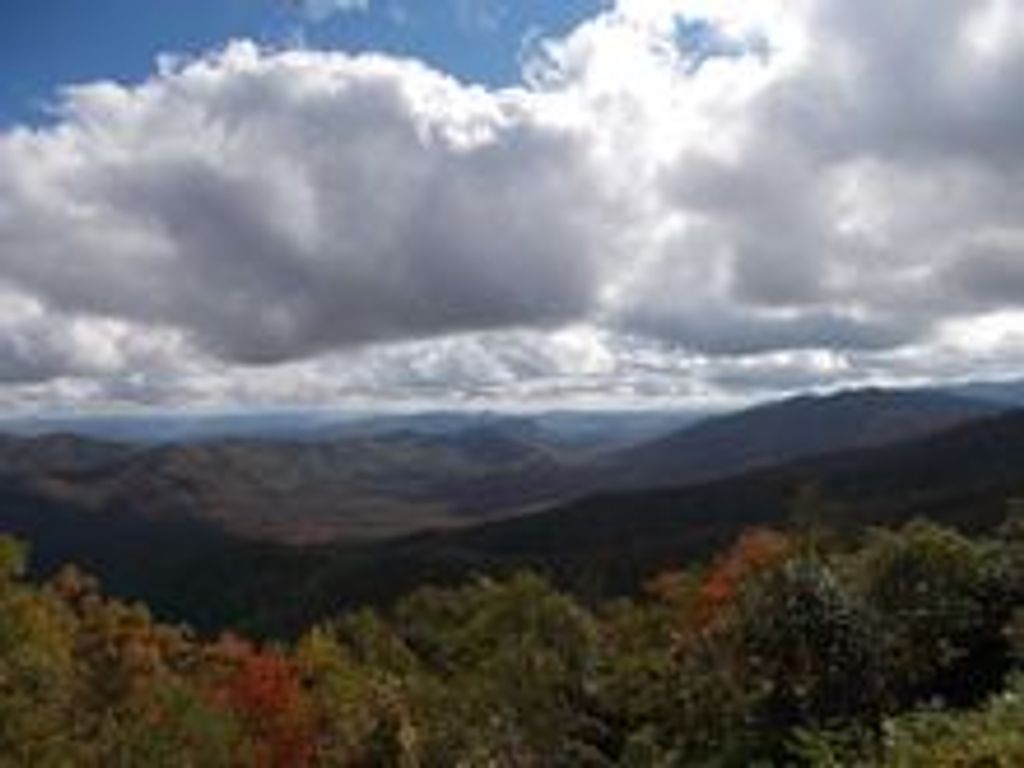 Thomas Trakas Profile Photo