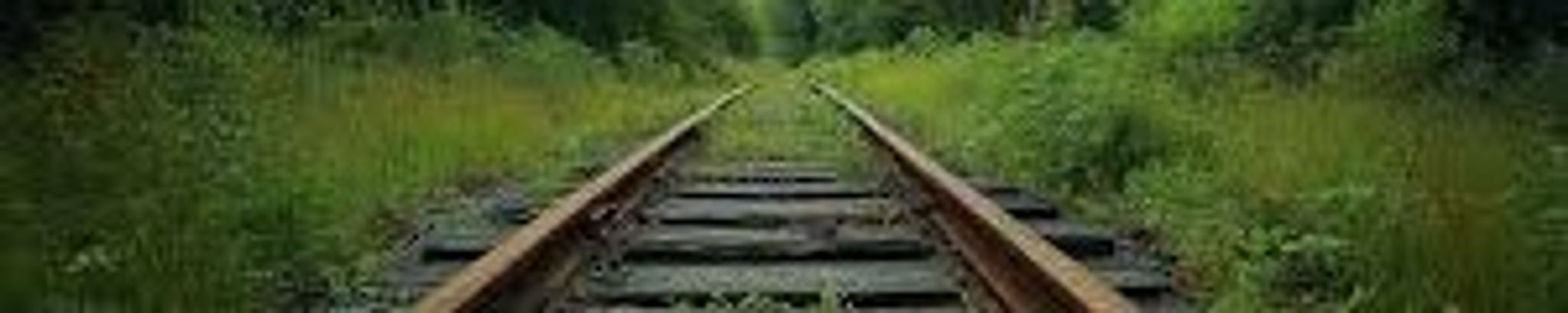 Cover for Robert Voller's Obituary