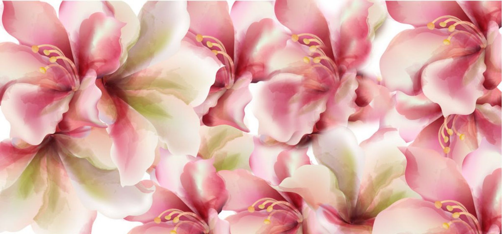 Cover photo for Lillie Johnson's Obituary