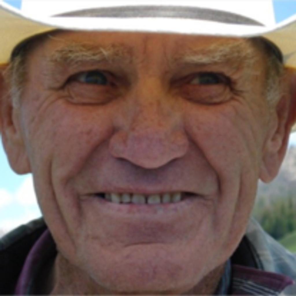 David F. Hollings