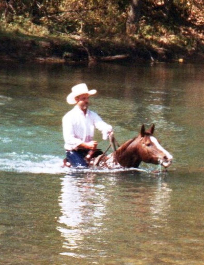 Harlan Martin Mayner