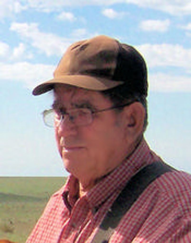 Theo Campbell Profile Photo