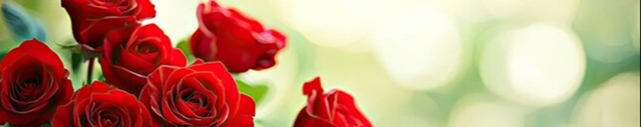 Cover photo for Julia Garcia's Obituary