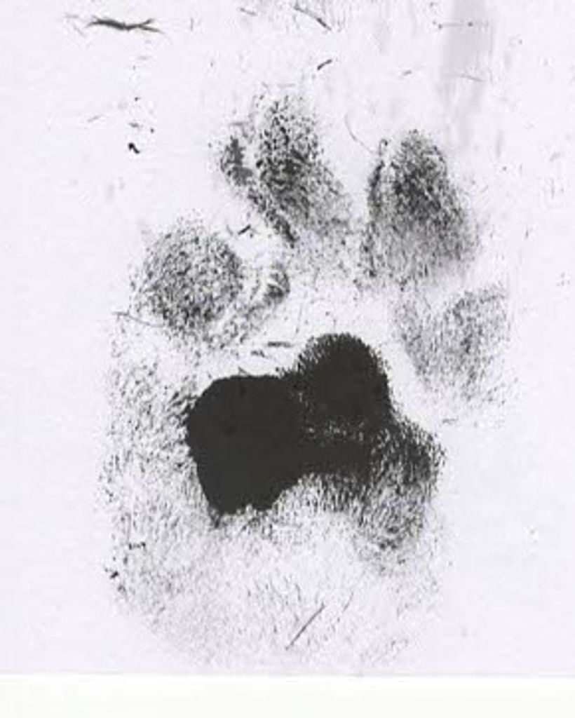 Annie Kennedy Profile Photo