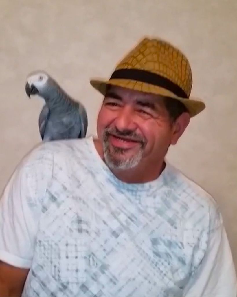 Quintin Feliciano Cornier