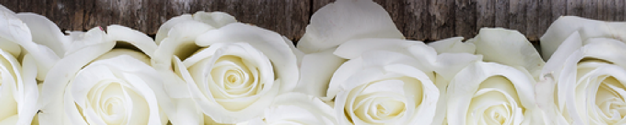 Cover photo for Mia Giselle Corona's Obituary