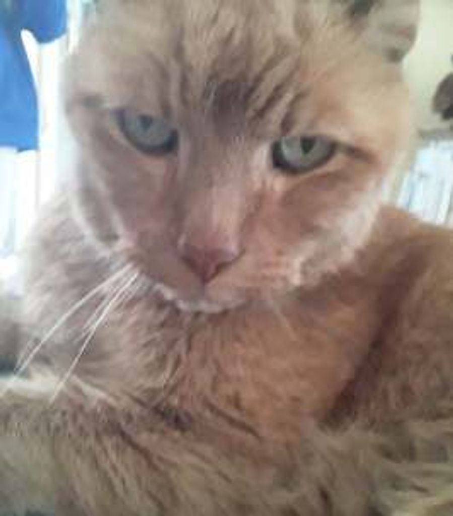 Julio Reed Profile Photo