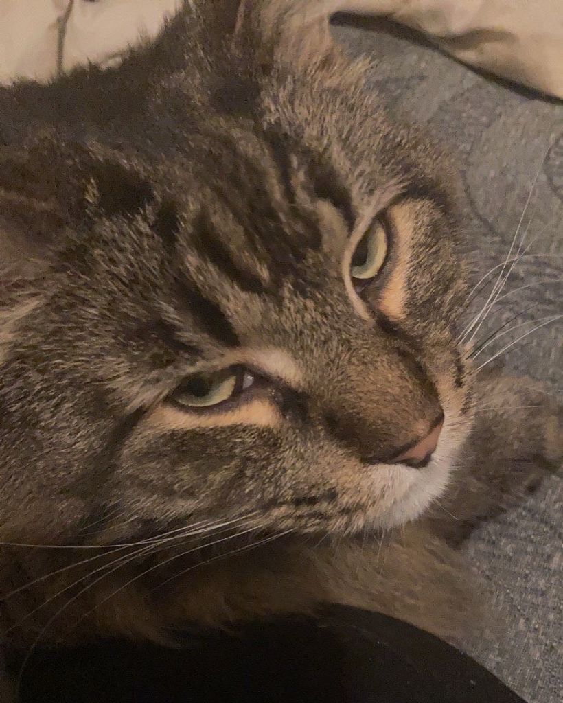 Smokey