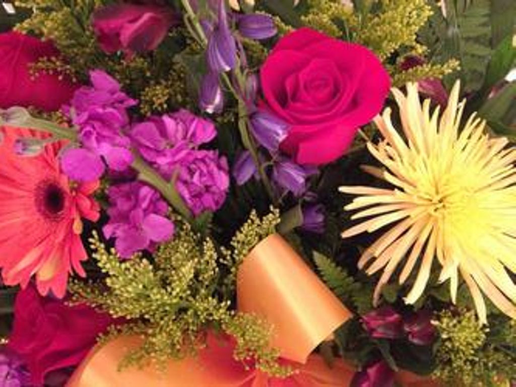 Dorothy Williams Branton