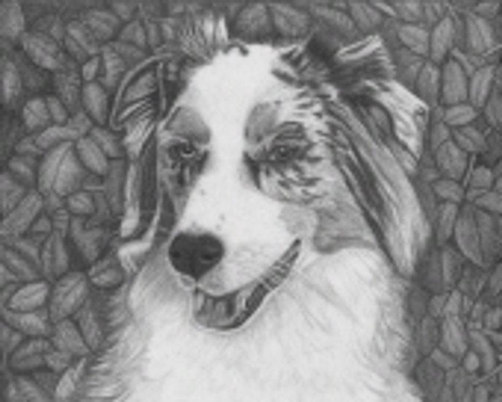 Lou Spindle Profile Photo