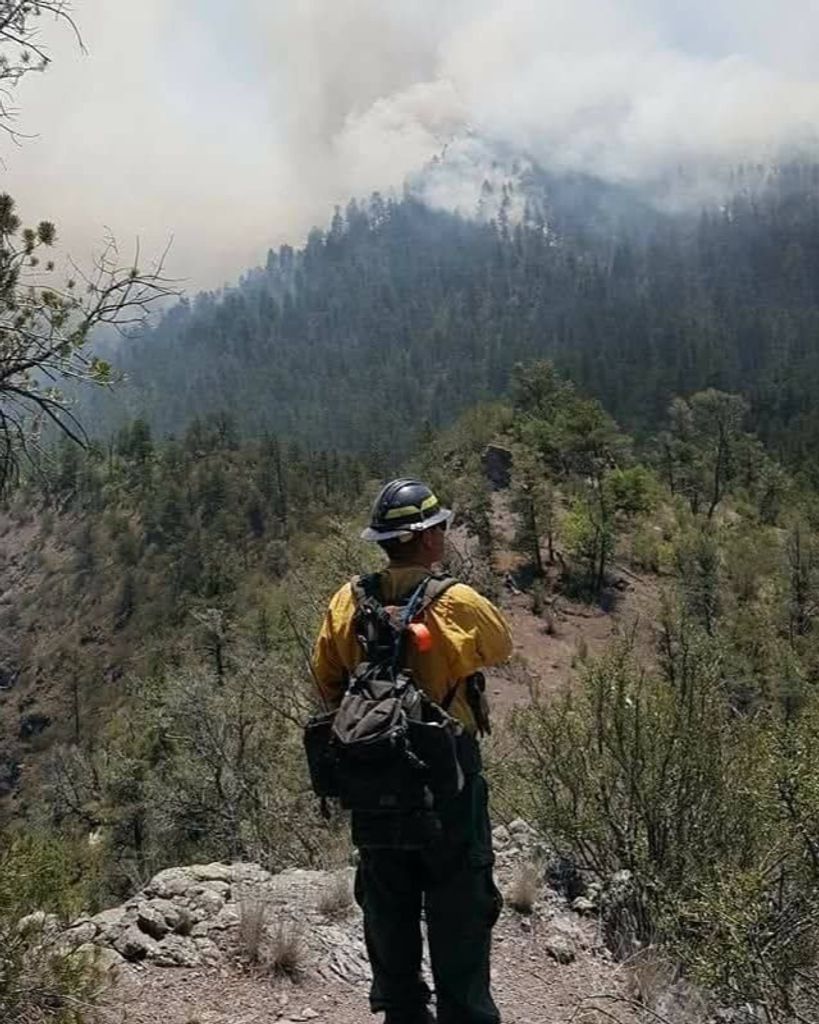 WAYNE KEY Profile Photo