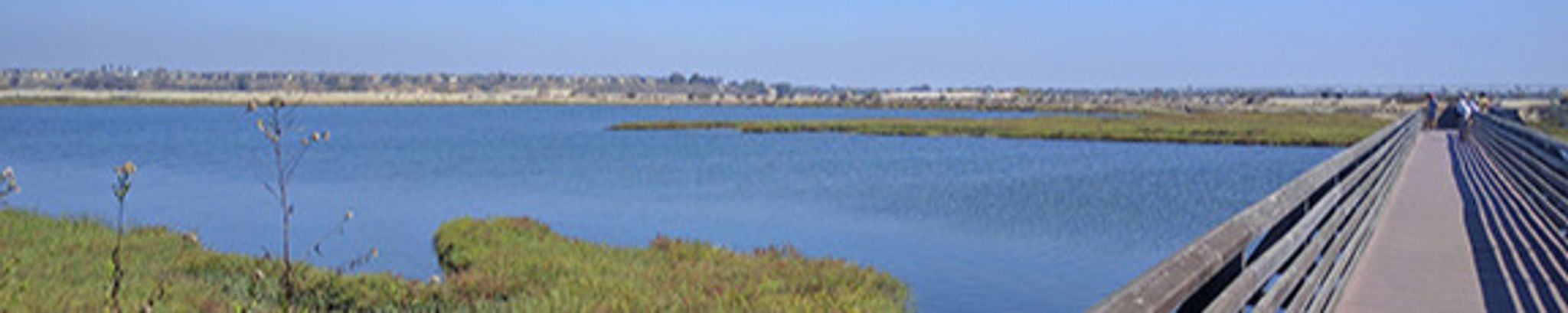 Cover photo for Shirley Joyce Benton's Obituary