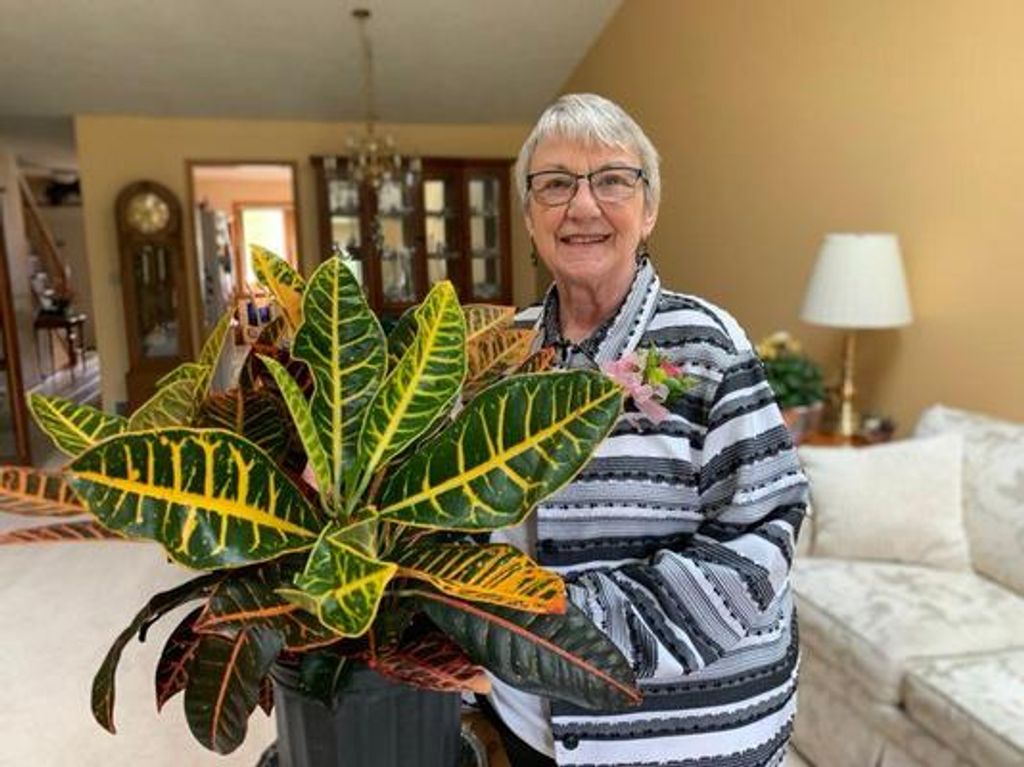 Susan Hughes Profile Photo