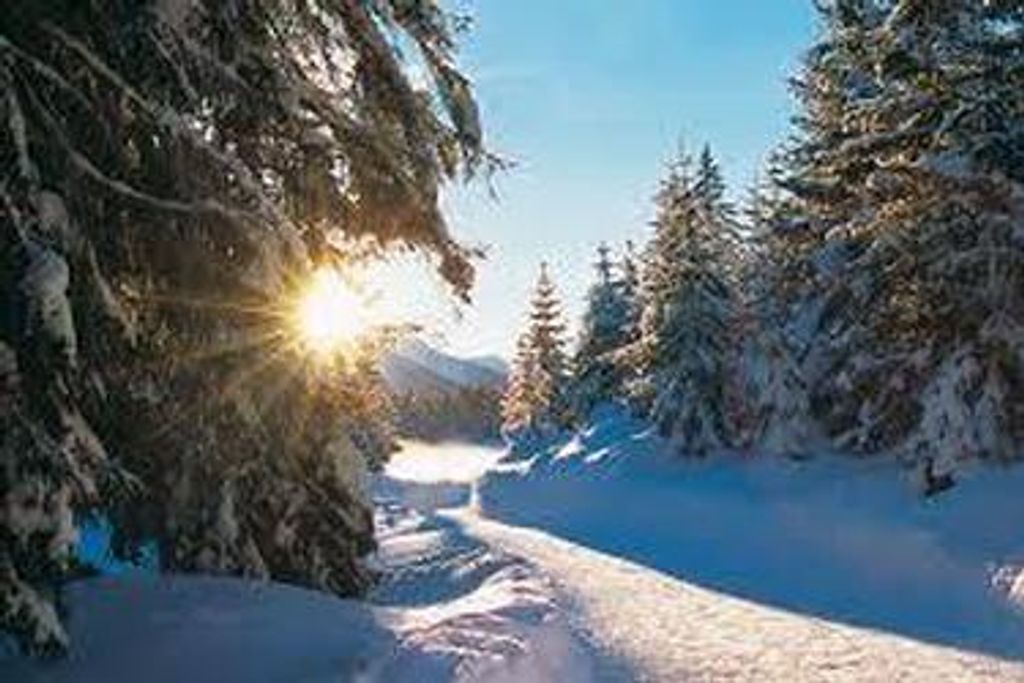 Cregg A. Nelson Profile Photo