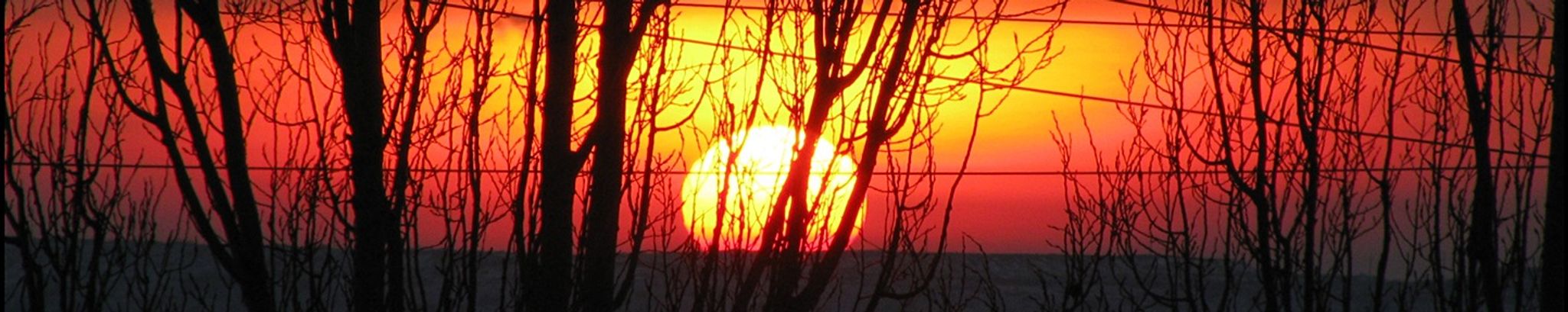Cover photo for Glenn Paul Edens Stout's Obituary