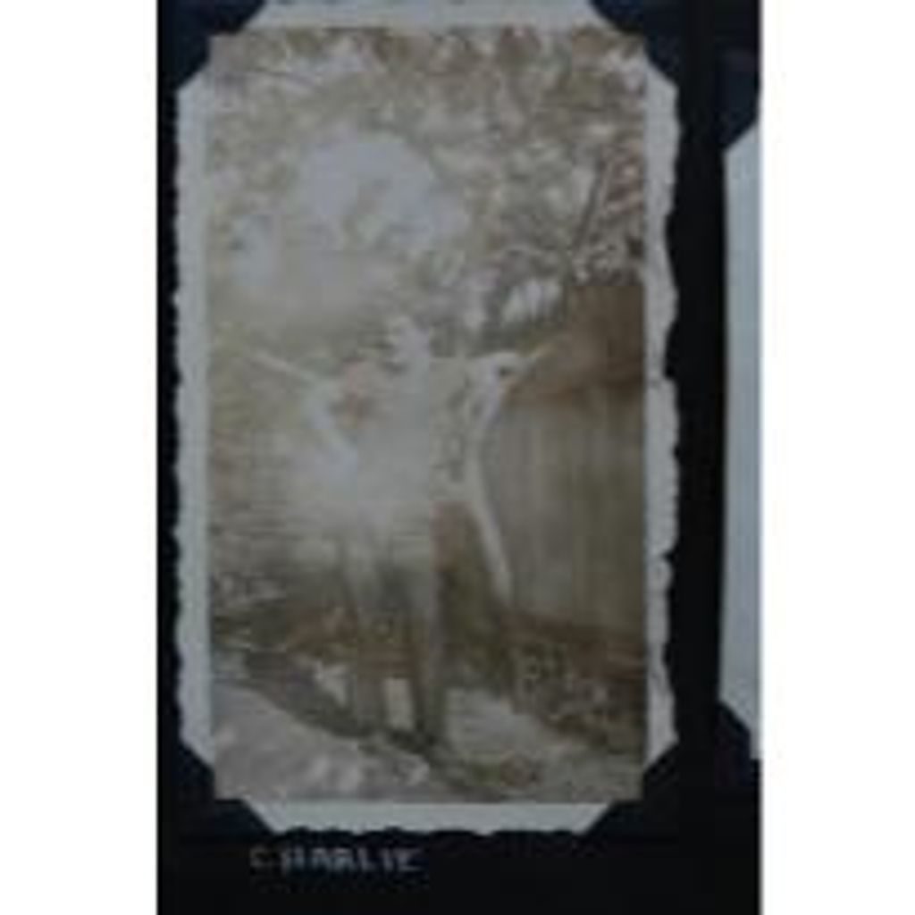 Charles Thomas Montagna