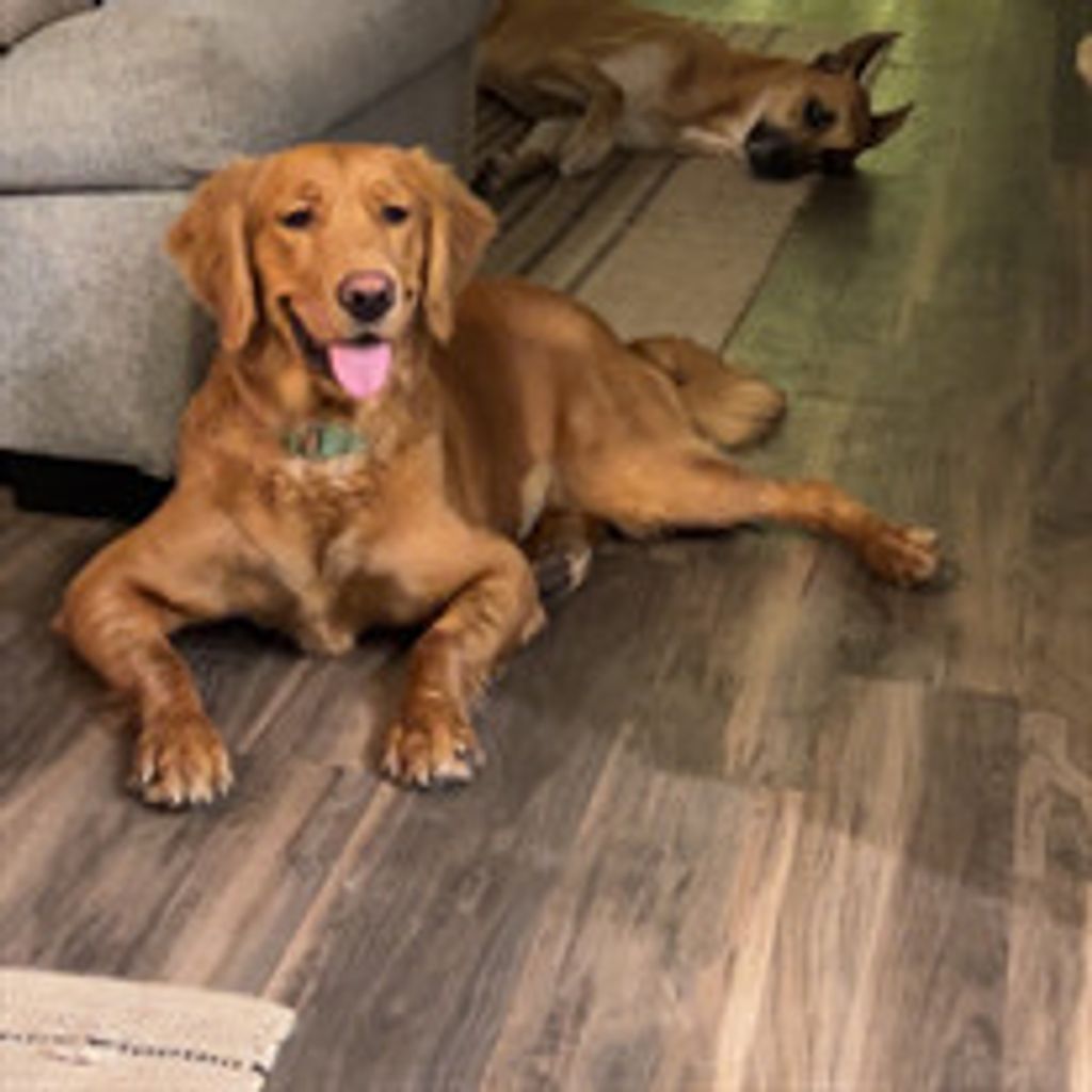 Oakley Mae