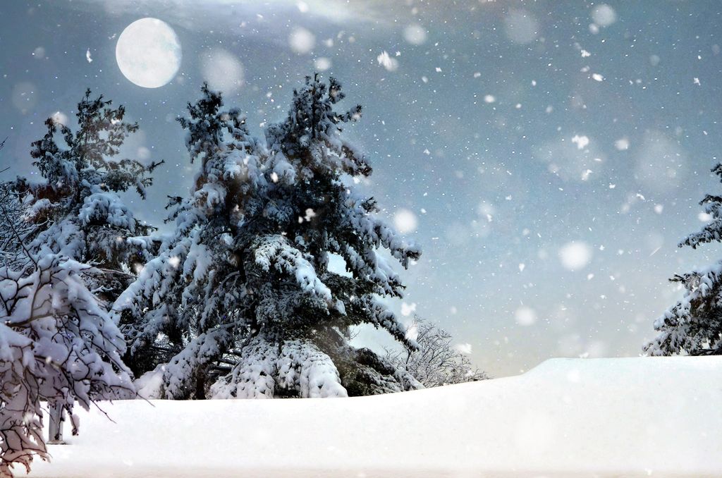 Ms. Ann Eleanor Walsh Blevins Profile Photo