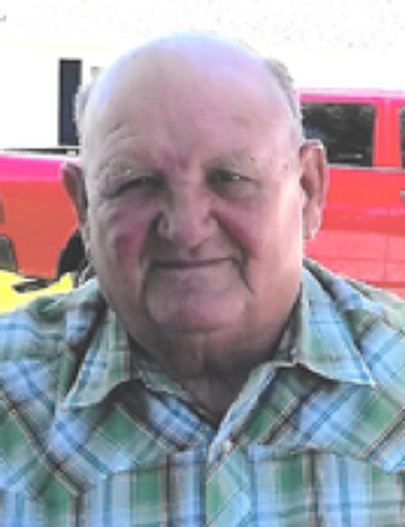 David Allen Wells
