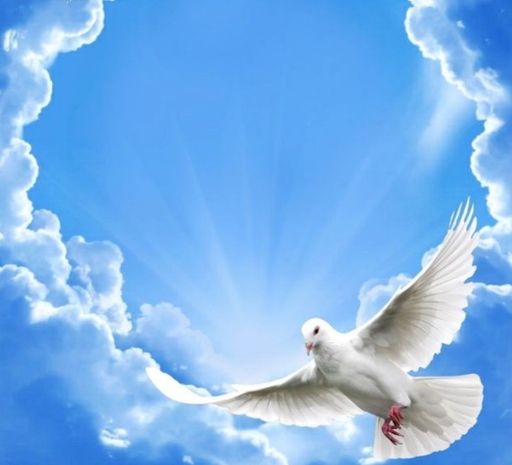 Mason Chance Gory Profile Photo