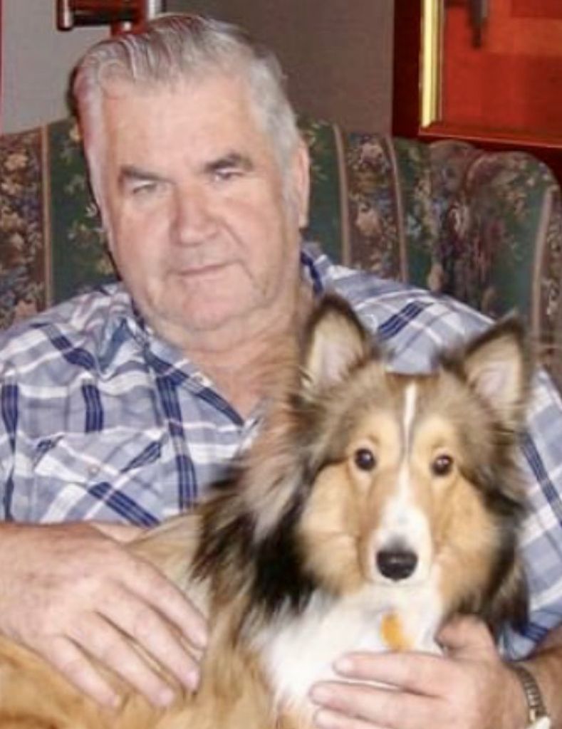 David Sterling Roth Profile Photo