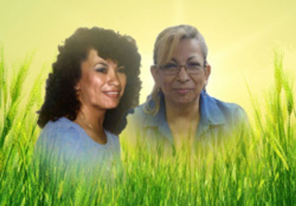 Bertha Solis