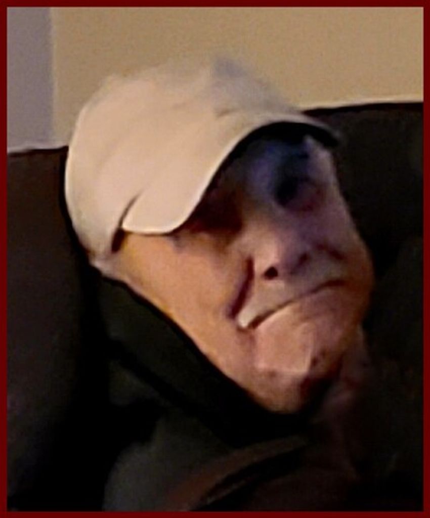 Louis L Pedone Profile Photo
