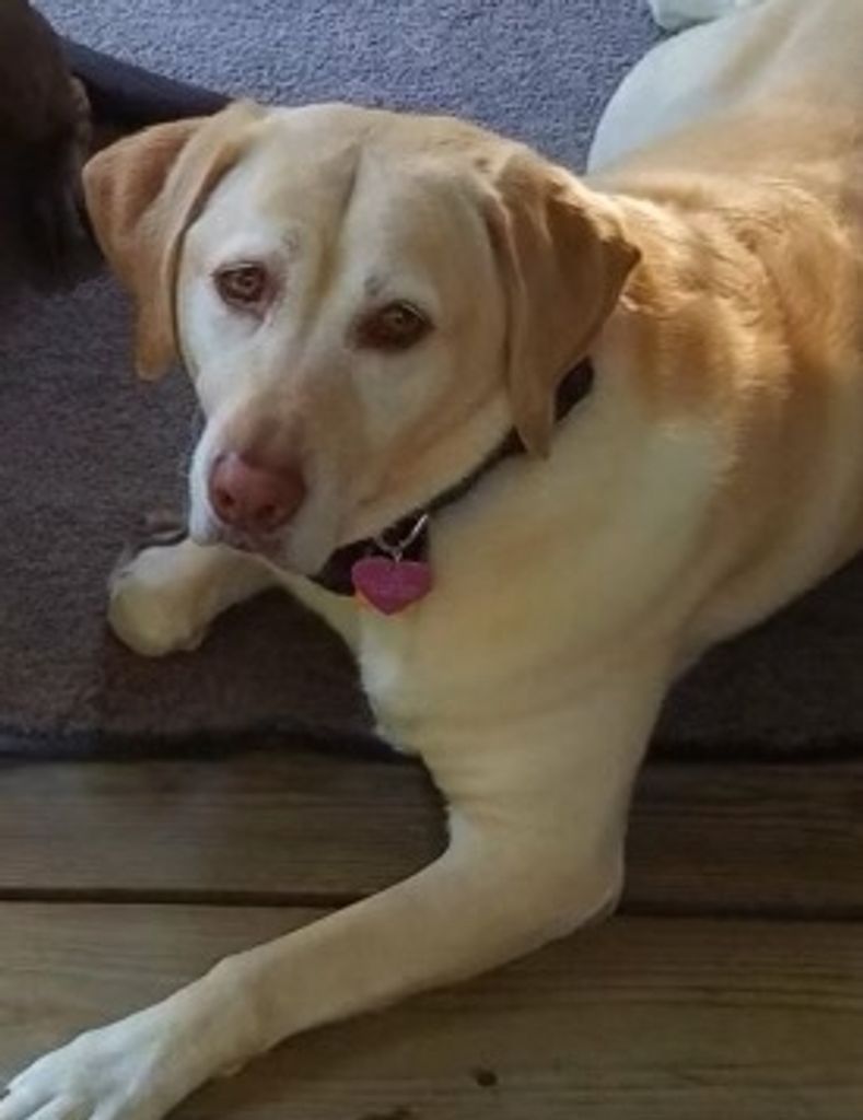 Daisy Mcguire Profile Photo