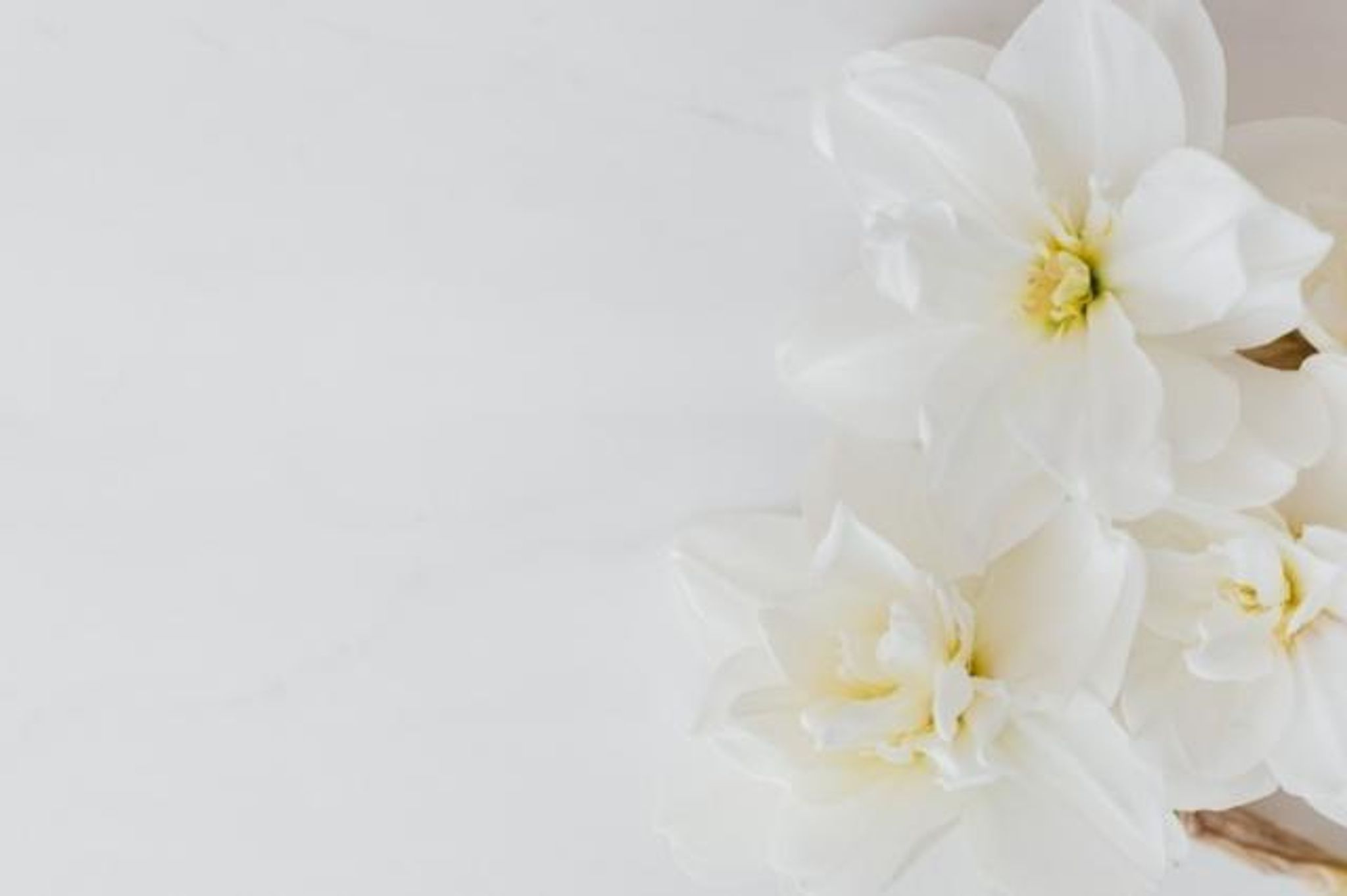Antonietta Giordano photo gallery image 1 of 6