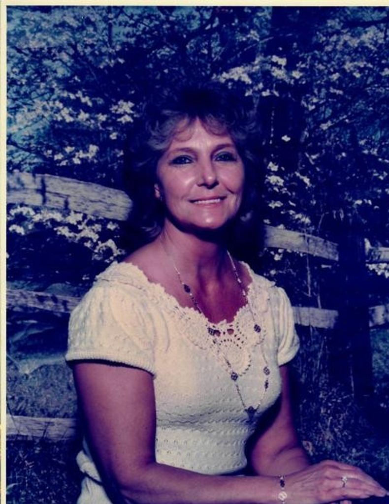 Shirley Beck Profile Photo