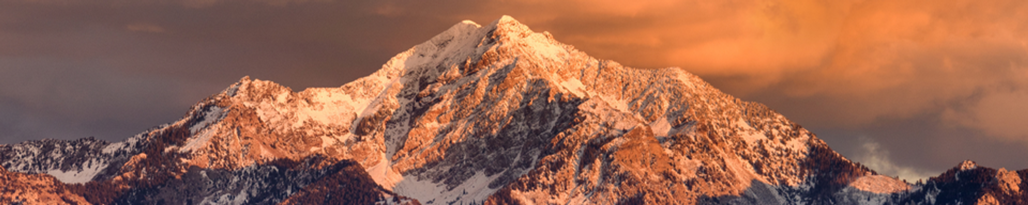 Cover for Richard Stanley Pollock's Obituary