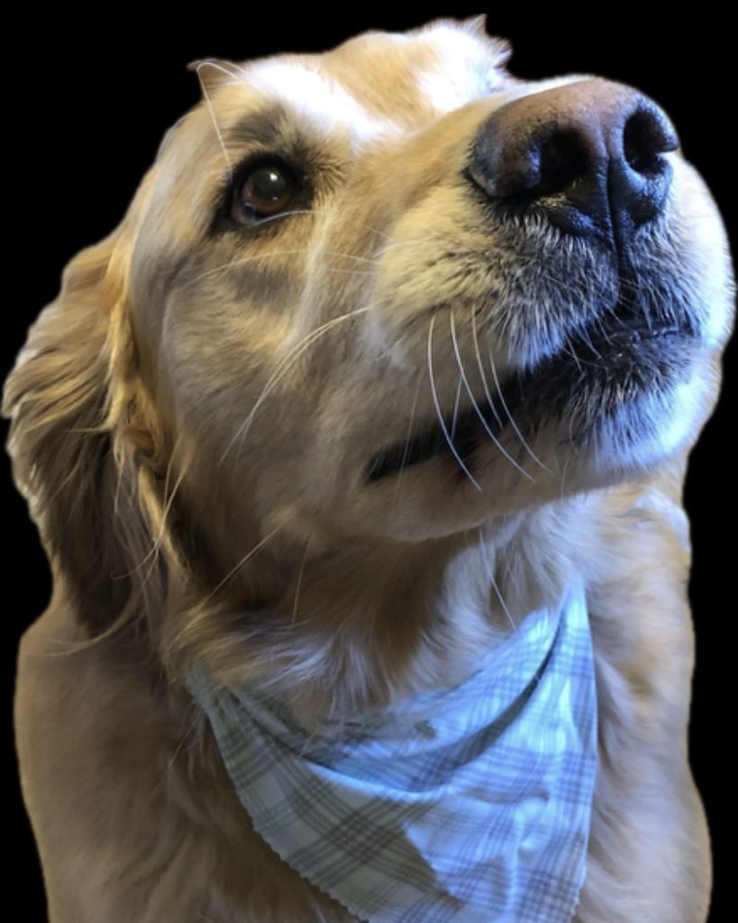 Murphy Crummy Profile Photo