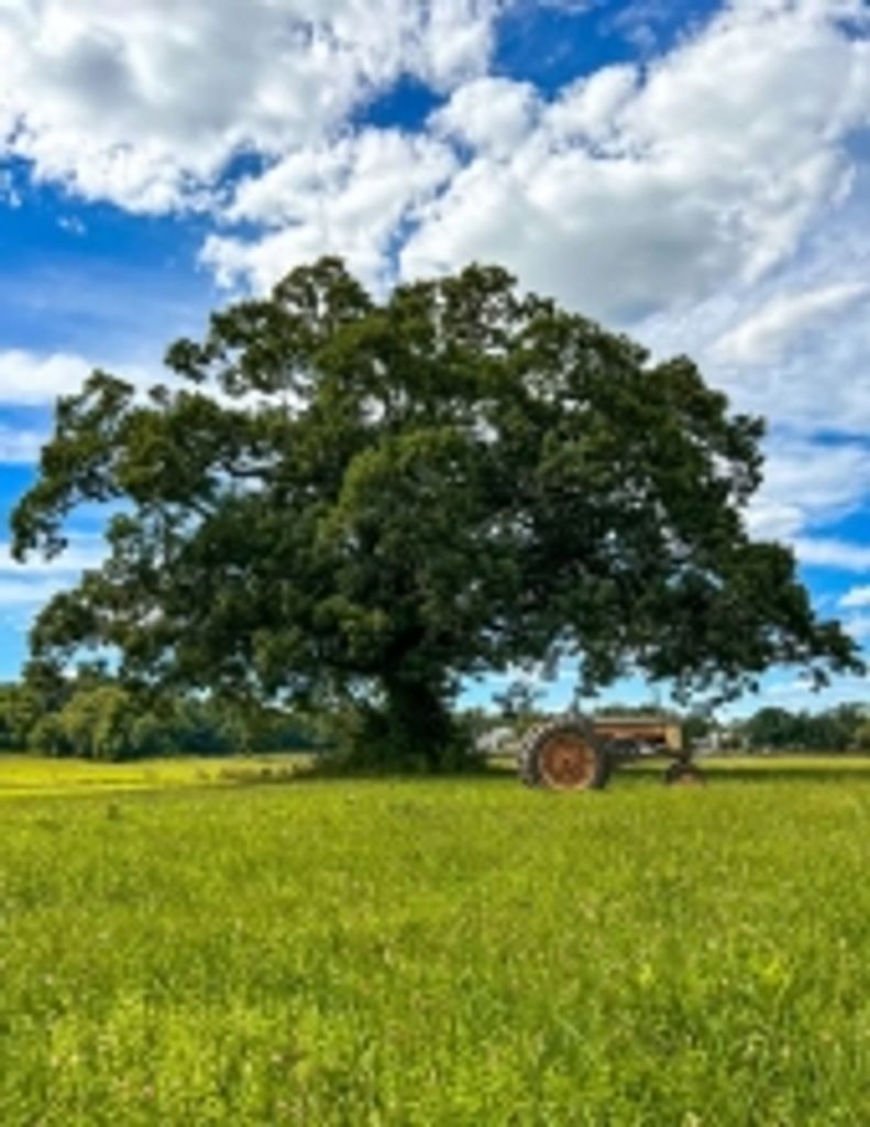 Clinton P. Howard Jr.