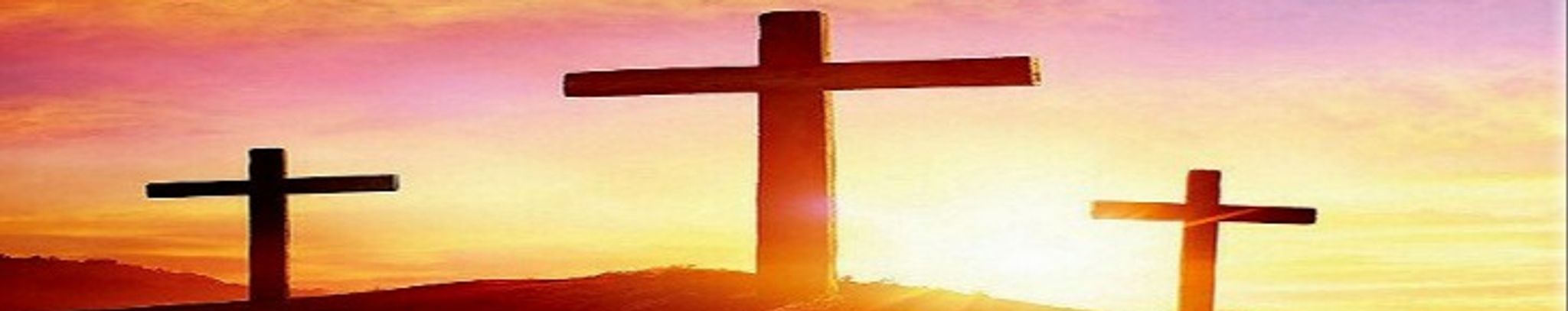 Cover for Sherrill Elizabeth Letsch's Obituary