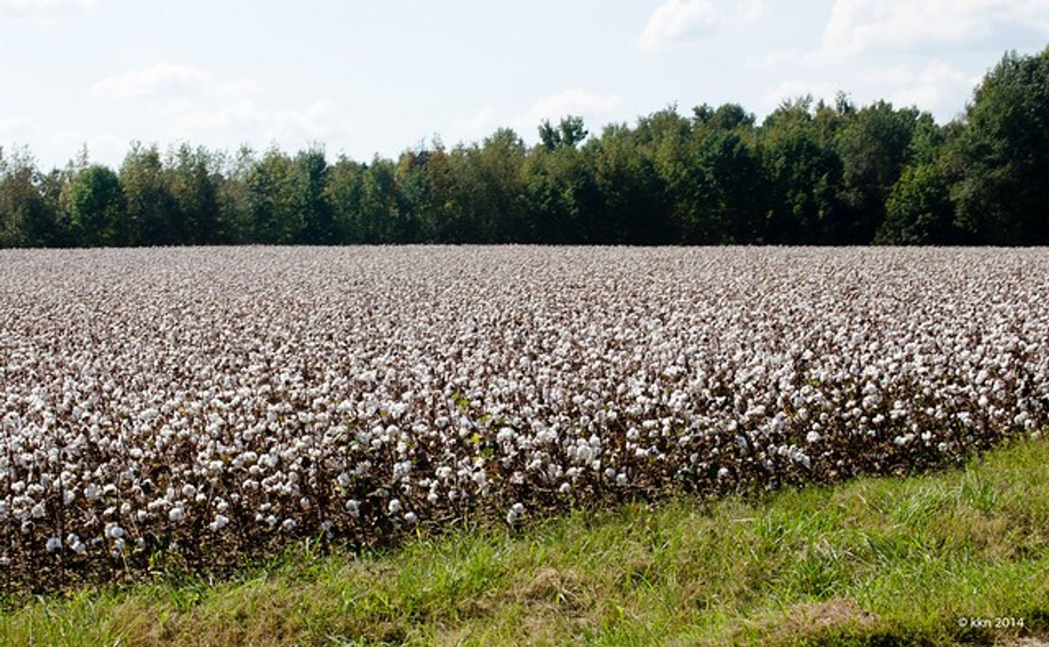 Cover photo for Linda Berry's Obituary