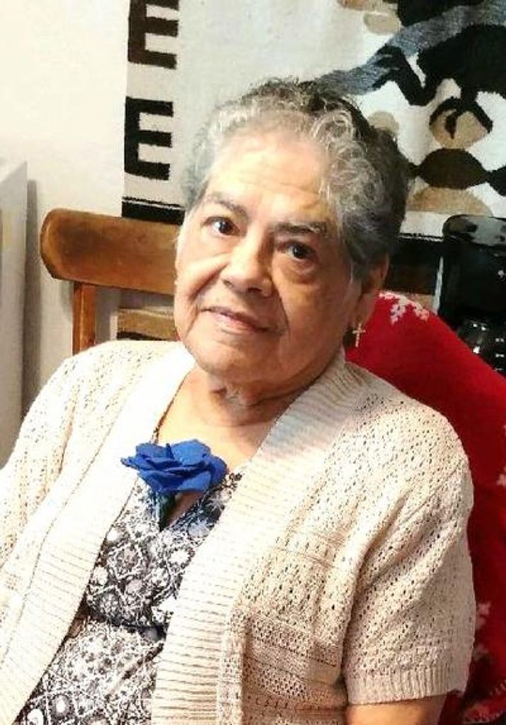 Dominga Valenzuela Profile Photo